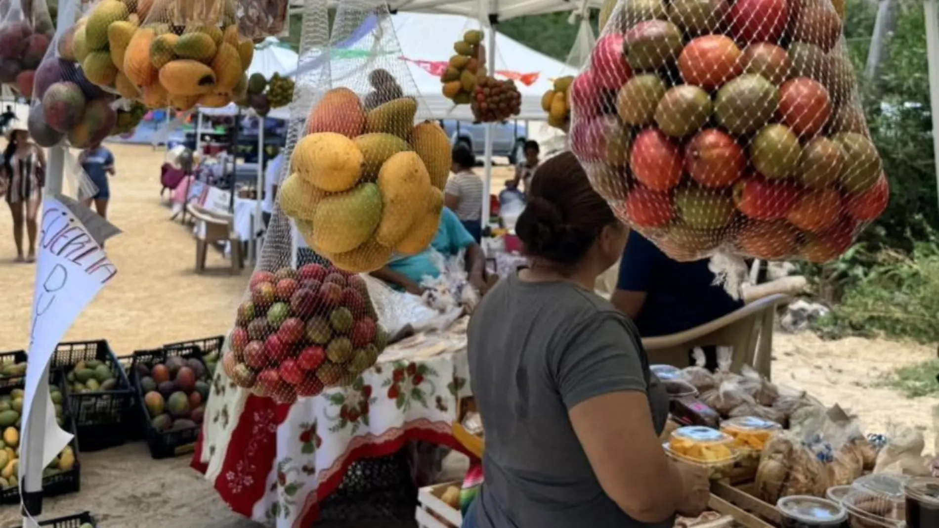 Festival del Mango en el Pueblo Mágico de Todos Santos